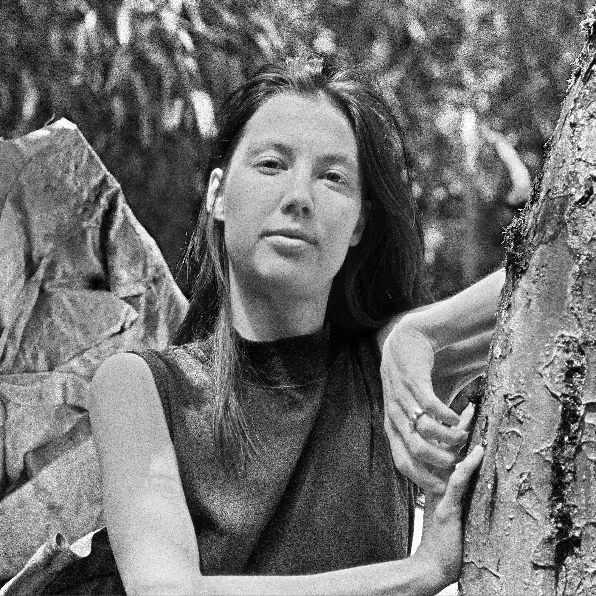 Bildbeschreibungstext